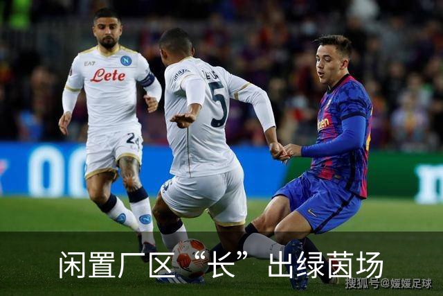 闲置厂区“长”出绿茵场