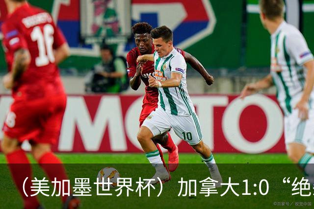 （美加墨世界杯）加拿大1:0“绝杀”南非 队史首进16强